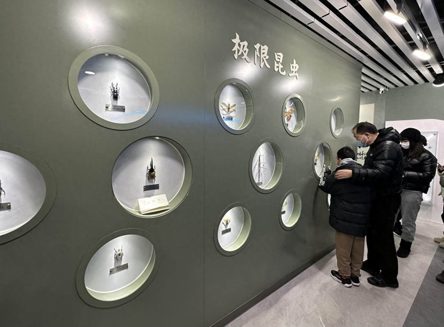 聽講解、看標本、體驗互動裝置,農大昆蟲博物館讓孩子著迷