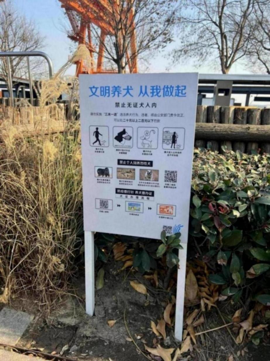 “一江一河”初具寵物友好基礎(chǔ),將繼續(xù)提高濱水公共服務(wù)溫度