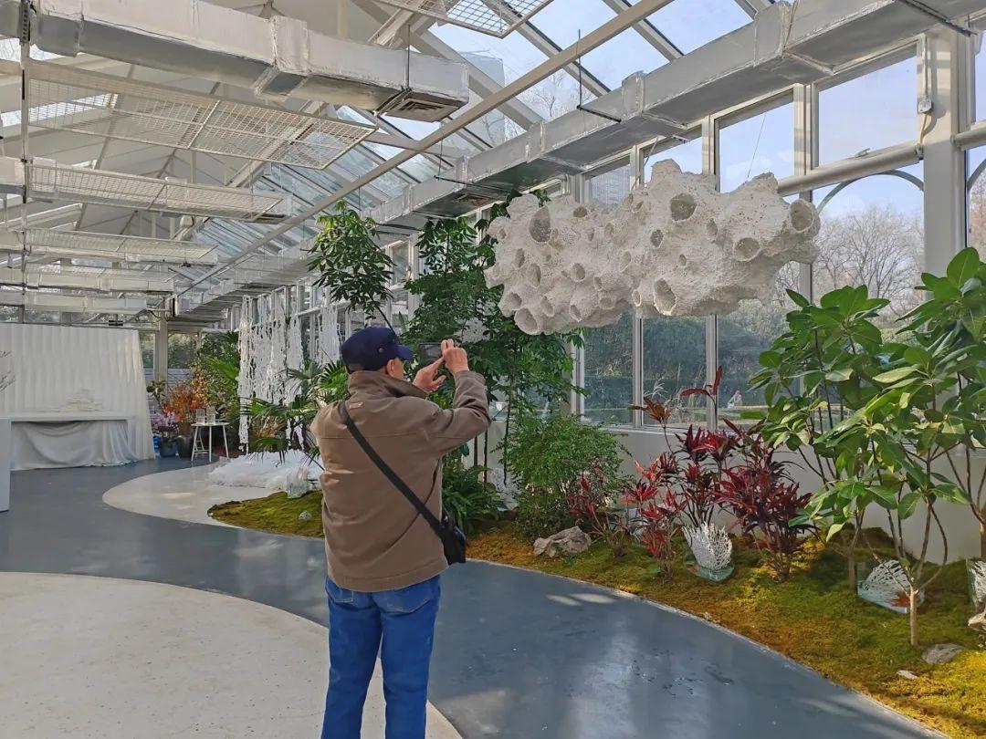 上海中山公園打造唯美“冰雪世界”,雪花藝術裝置點綴冬日浪漫