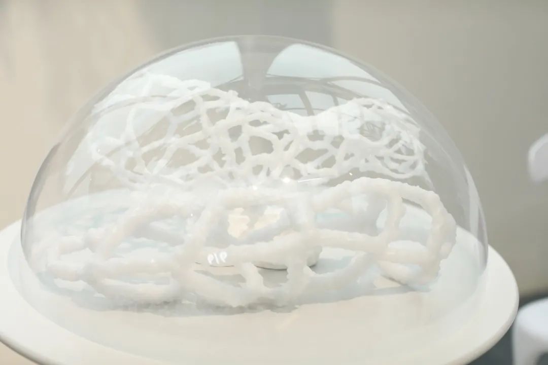 上海中山公園打造唯美“冰雪世界”,雪花藝術裝置點綴冬日浪漫