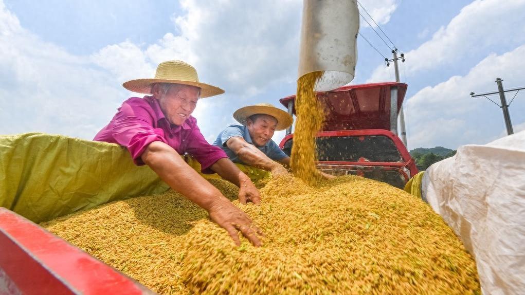 糧食安全治理有了“護法神盾”