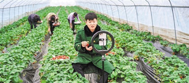 透析直播帶貨:為何能逆勢成長?如何實現持續發展?