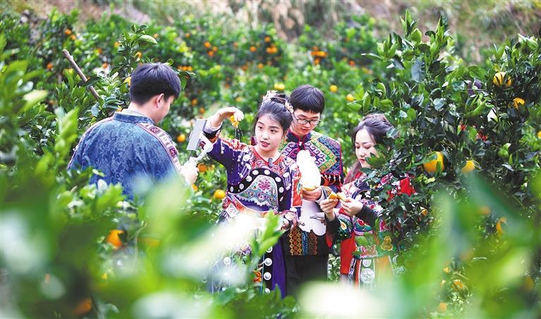 透析直播帶貨:為何能逆勢成長?如何實現持續發展?