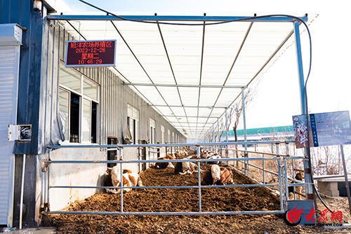 綠色循環(huán) 變廢為寶!淄博經(jīng)開區(qū)這家“國(guó)字號(hào)”生態(tài)農(nóng)場(chǎng)出圈了