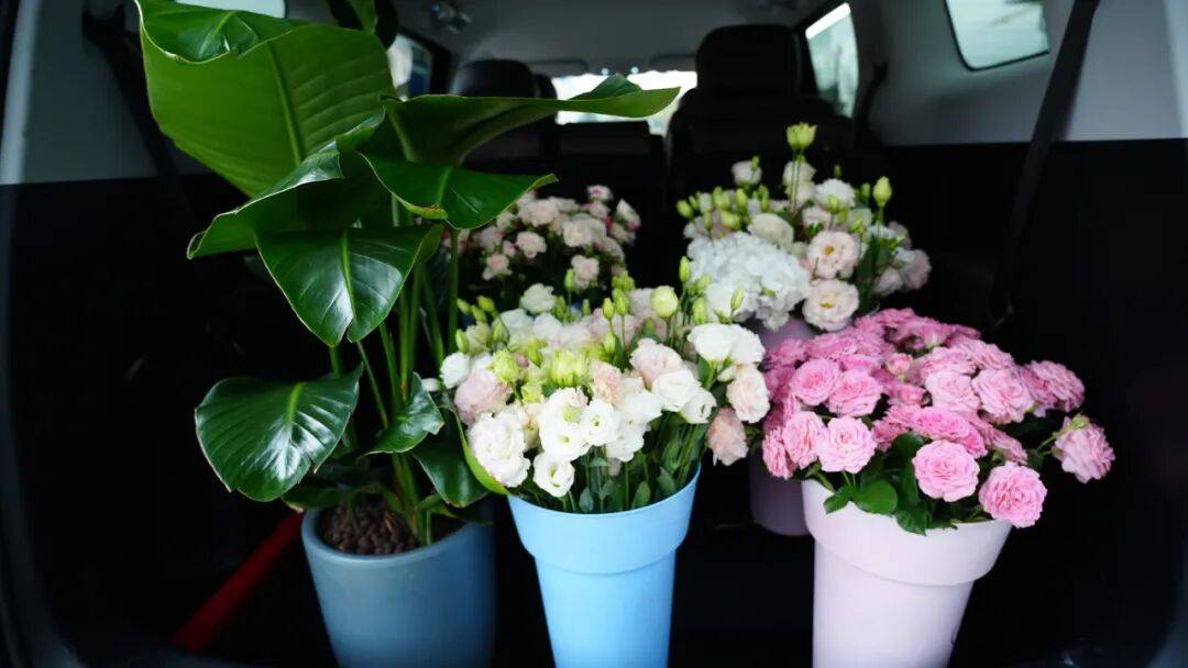 10萬級家用MPV新伙伴,靜態體驗星光730